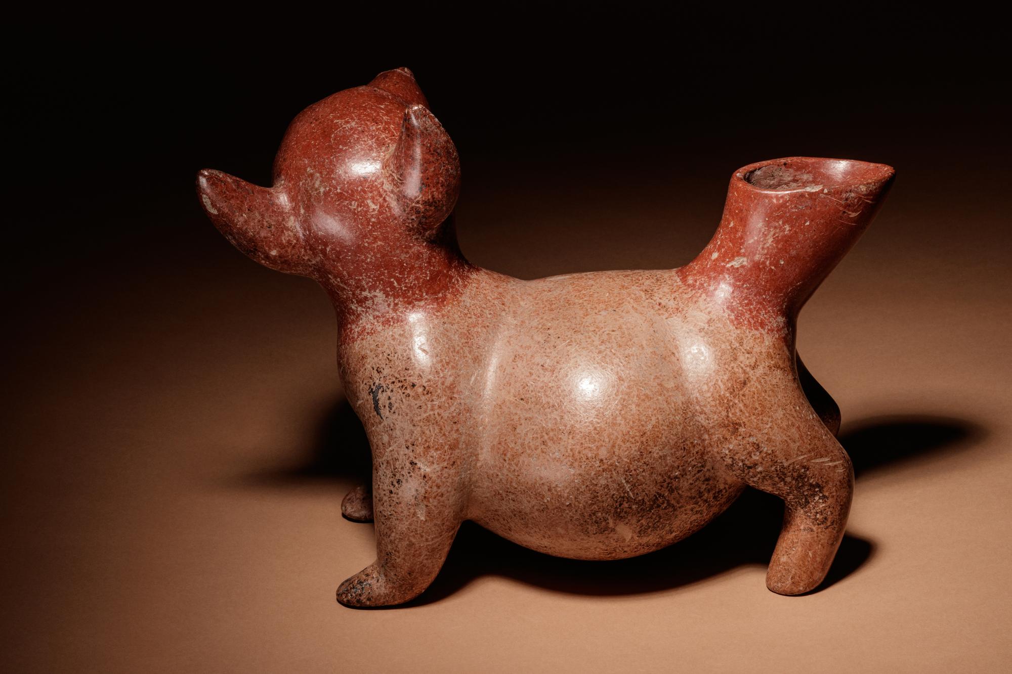A Colima Terracotta Dog Effigy Vessel