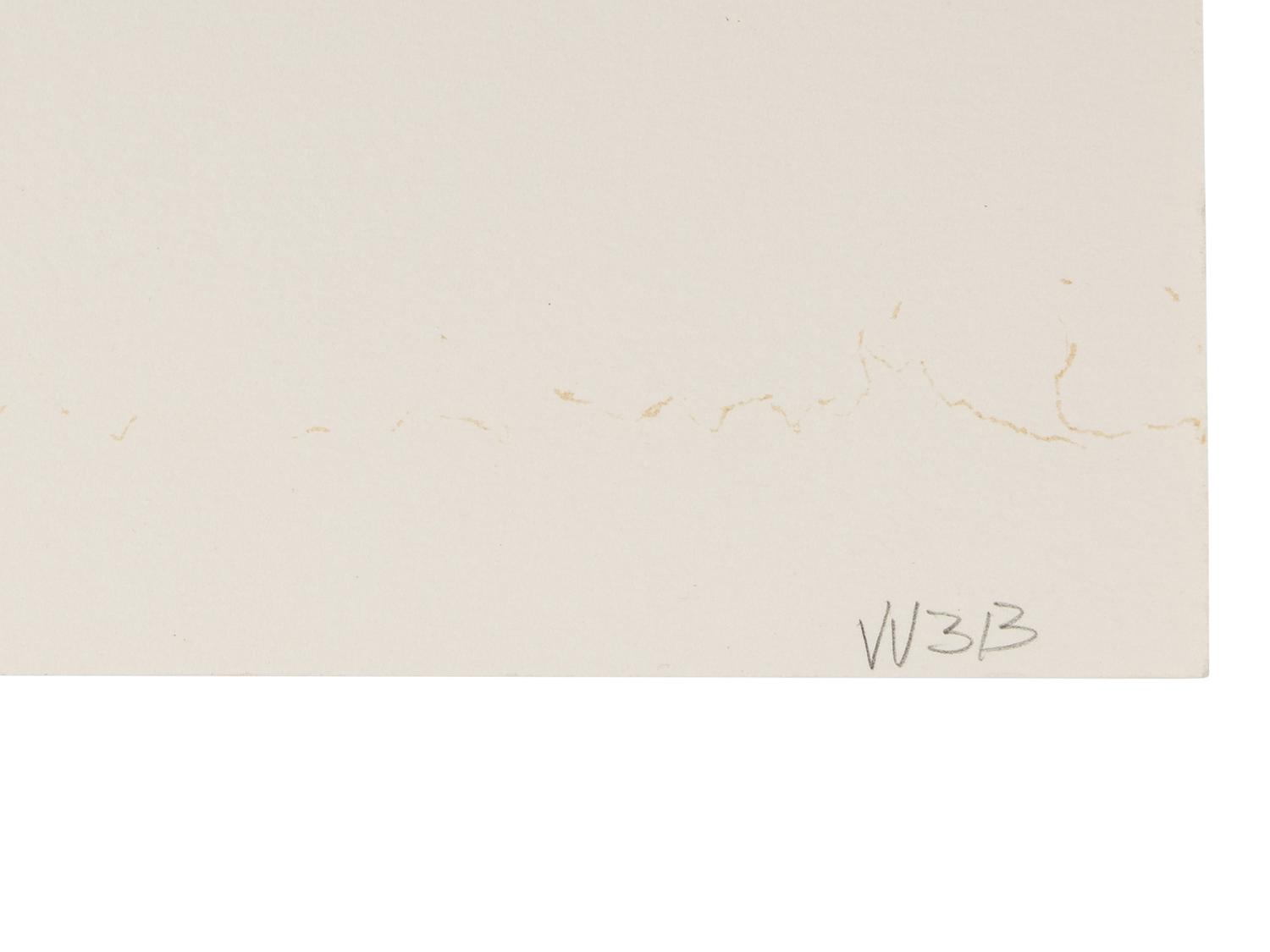 Zonau II ( diptych), 1989