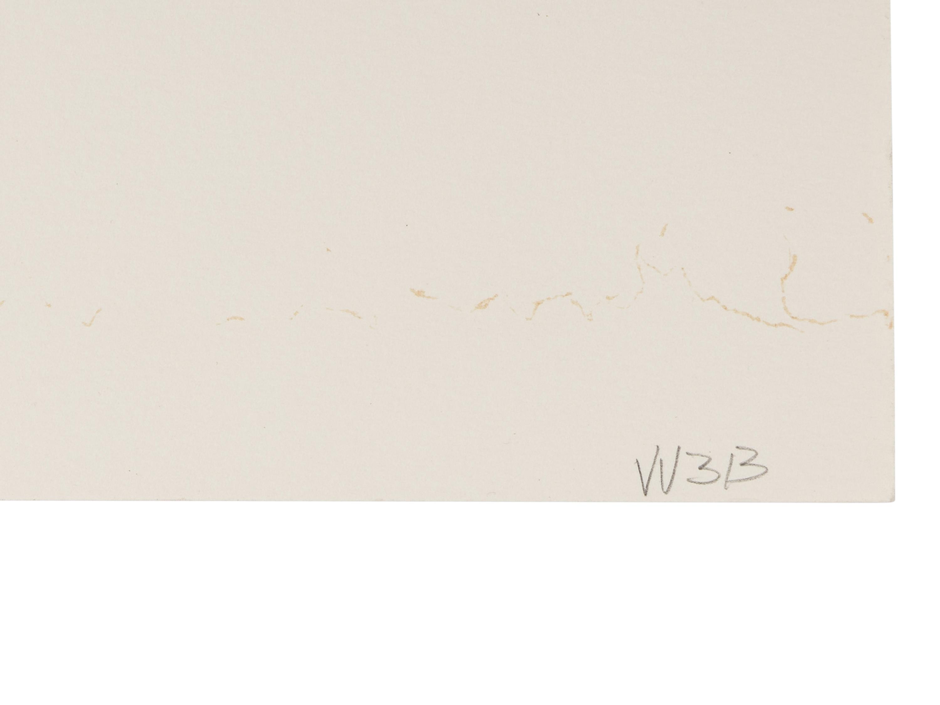 Zonau II ( diptych), 1989