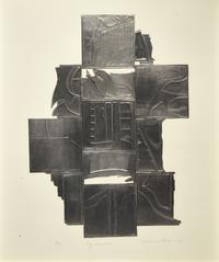 Sky Shadow, 1973