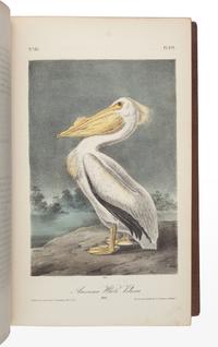 AUDUBON, John James (1785-1851). The Birds of America, from Drawings Made in the United States and their Territories . New York: J.J. Audubon; Philadelphia: J.B. Chevalier, [1839-] 1840-1844. -- AUDUBON, John James and John BACHMAN (1790-1874). The Quadrupeds of North America . New York: V.G. Audubon, 1849-1854.