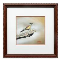 Western Kingbird , 2009