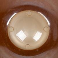Zia Olla