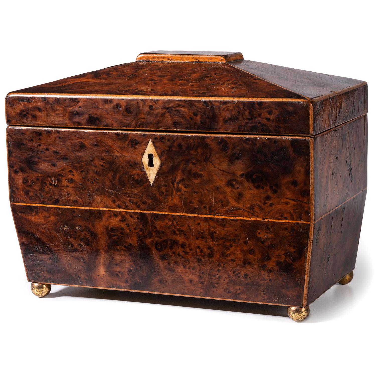 A Regency Burlwood Tea Caddy