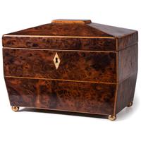 A Regency Burlwood Tea Caddy