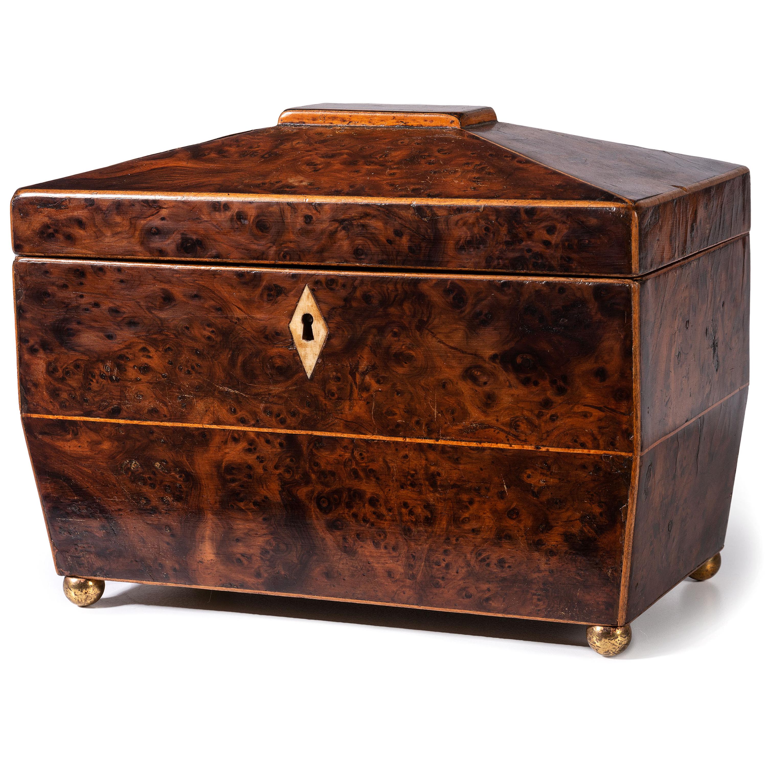 A Regency Burlwood Tea Caddy