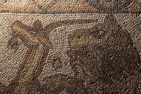 A Late Roman Stone Mosaic of a Lion Hunting Prey