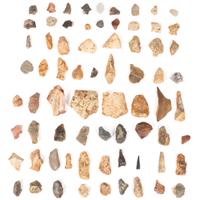 A Group of Worked Flint and Points