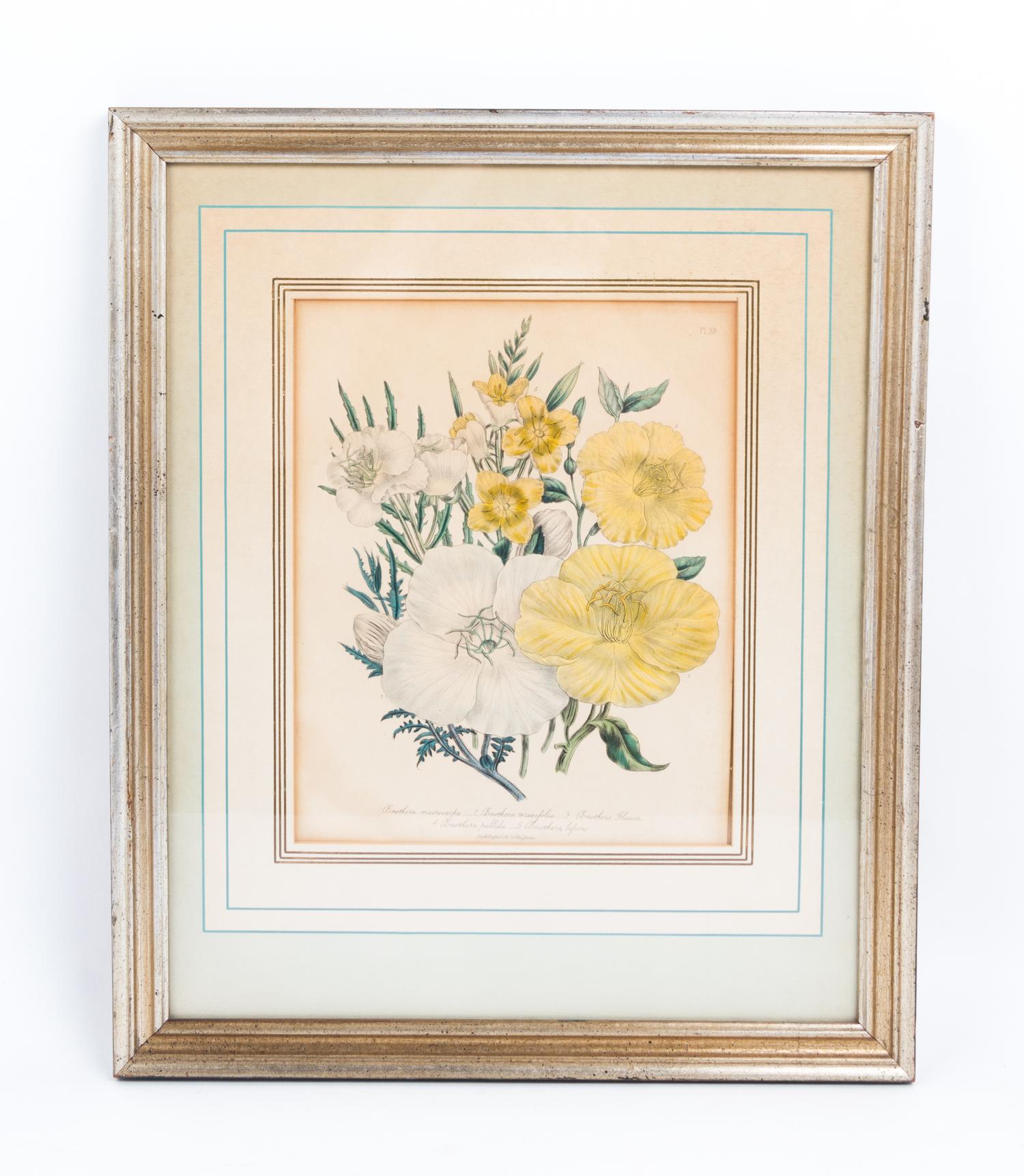 A Collection of Framed Botanical Prints Height of first pair 9 3/4 x width 7 3/4 inches.