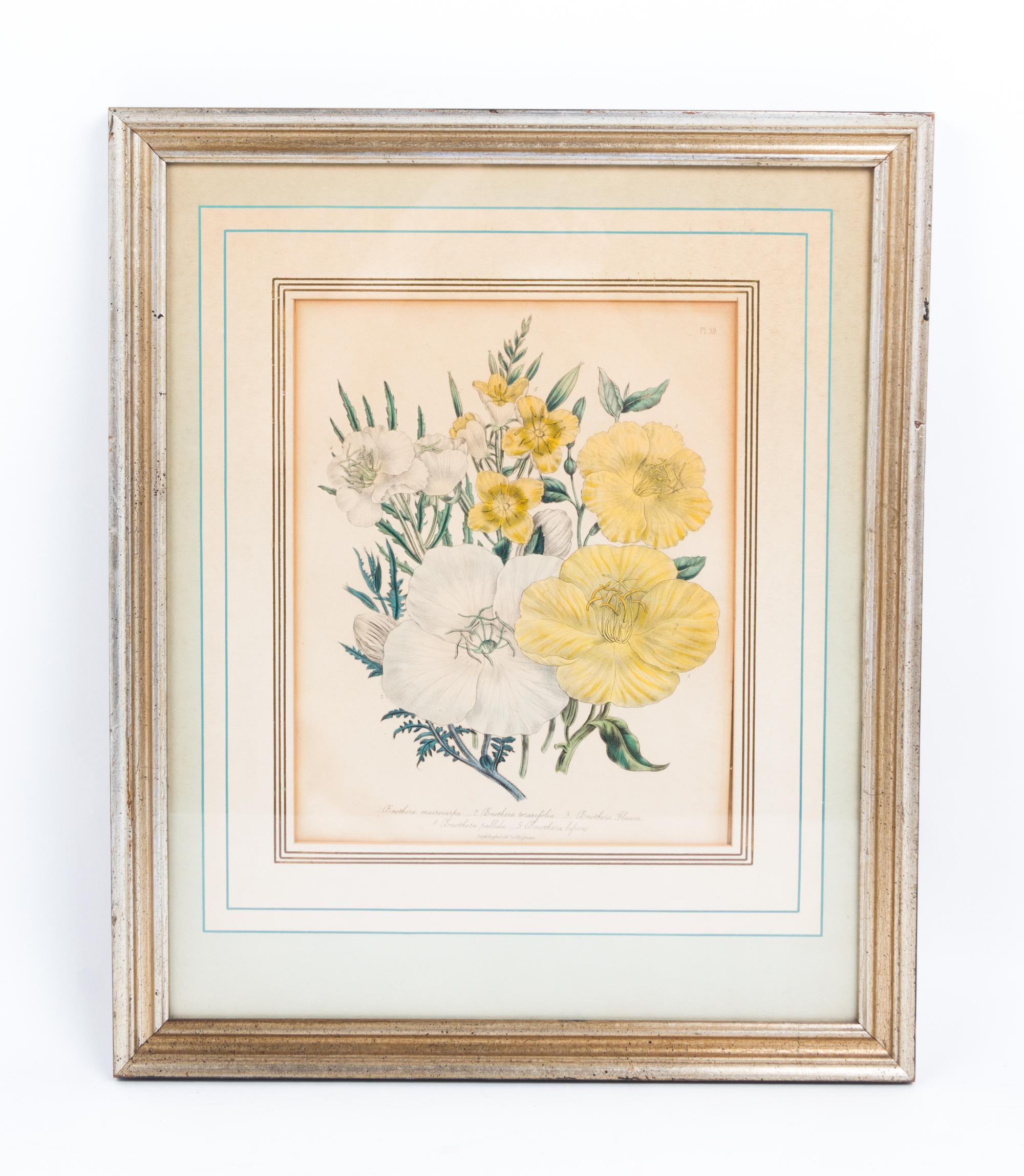A Collection of Framed Botanical Prints Height of first pair 9 3/4 x width 7 3/4 inches.