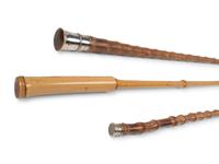 A Group of Eight Canes and Walking Sticks