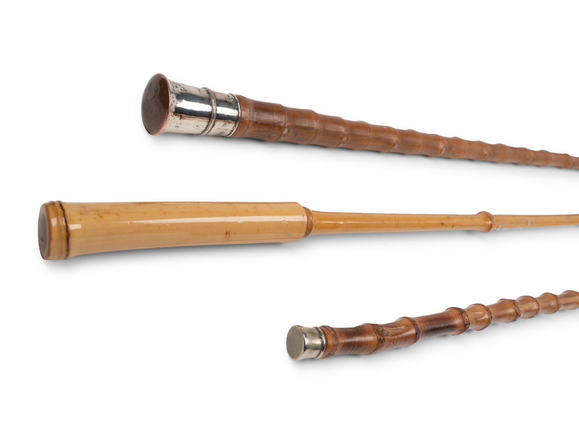 A Group of Eight Canes and Walking Sticks