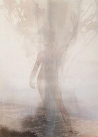 The Flowering (The Fourfold Sense), 2007 (complete portfolio of thirteen)