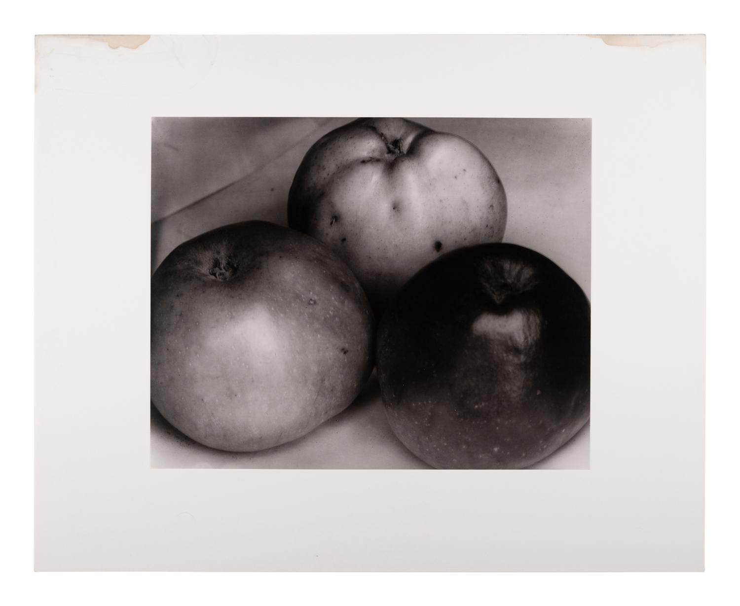 A group of twenty-one photographs (from Twenty-five Photographs printed by George Tice with labels signed by George Tice and Joanna Steichen)