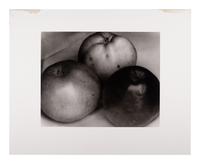 A group of twenty-one photographs (from Twenty-five Photographs printed by George Tice with labels signed by George Tice and Joanna Steichen)