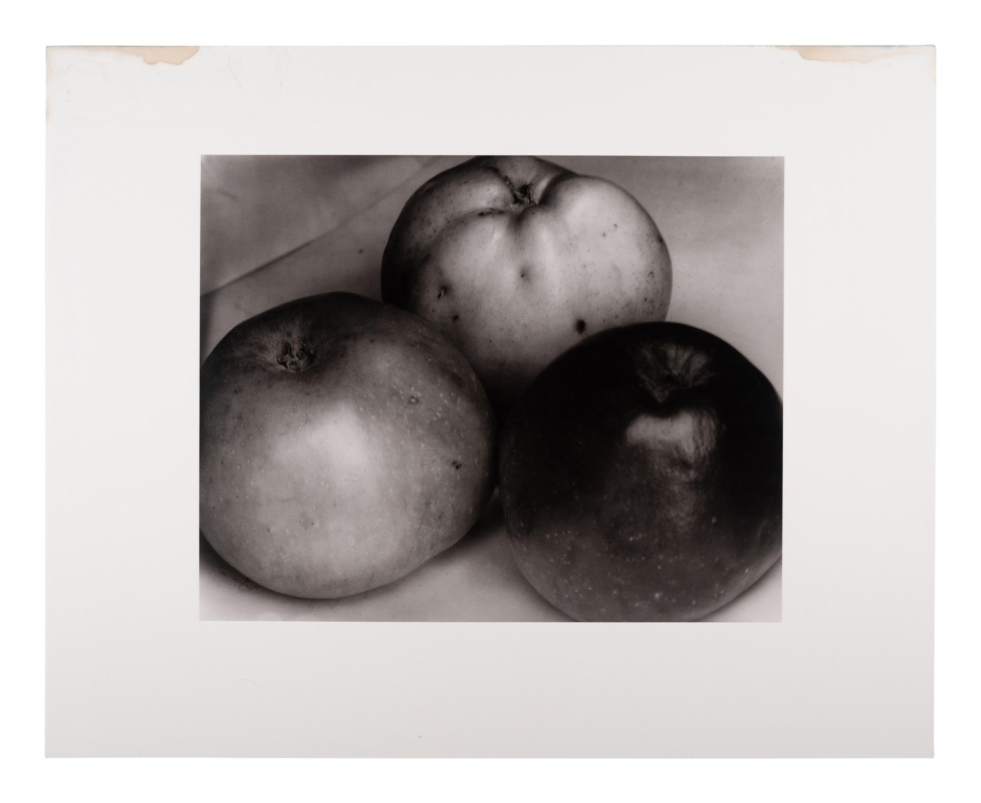 A group of twenty-one photographs (from Twenty-five Photographs printed by George Tice with labels signed by George Tice and Joanna Steichen)