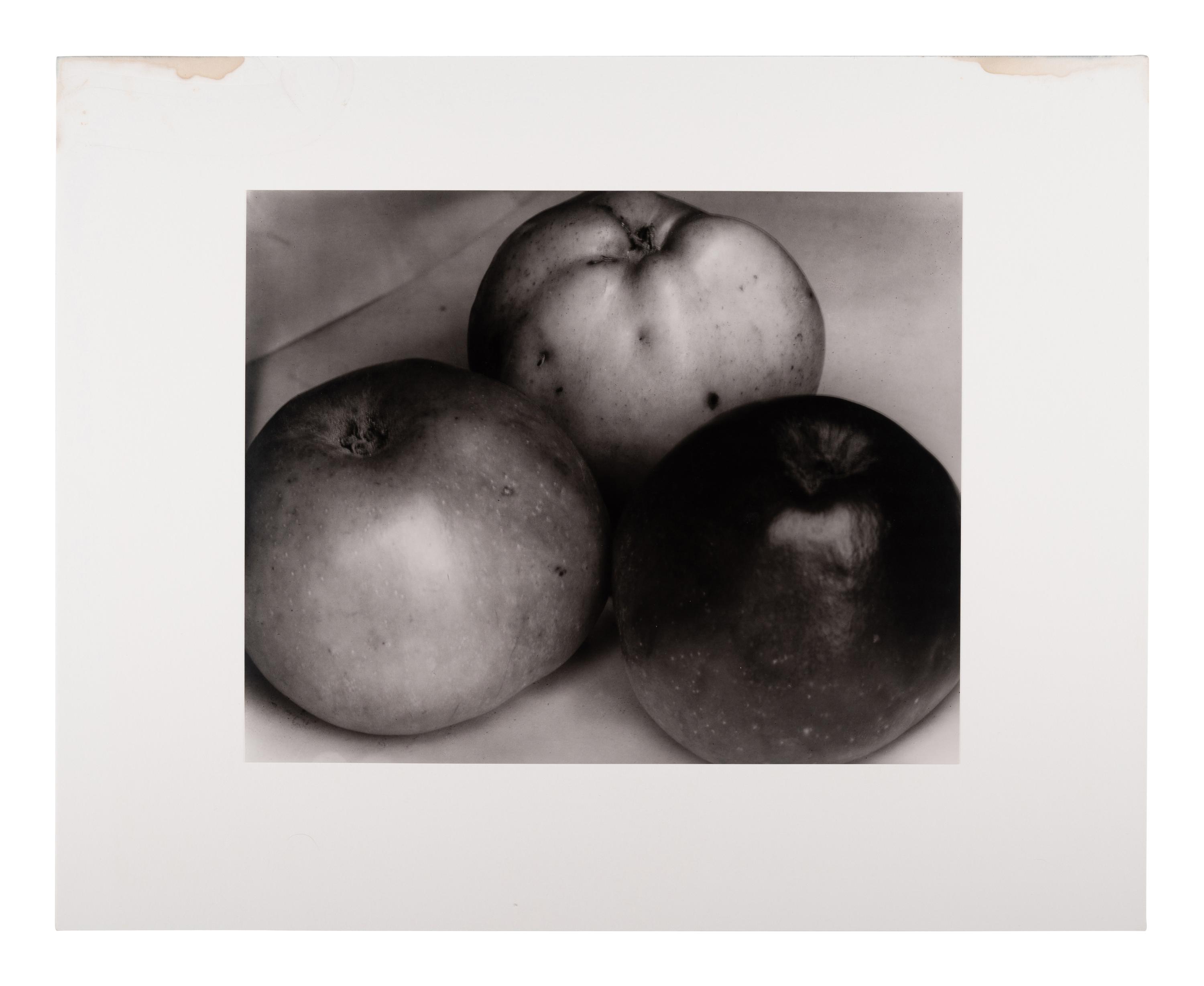 A group of twenty-one photographs (from Twenty-five Photographs printed by George Tice with labels signed by George Tice and Joanna Steichen)