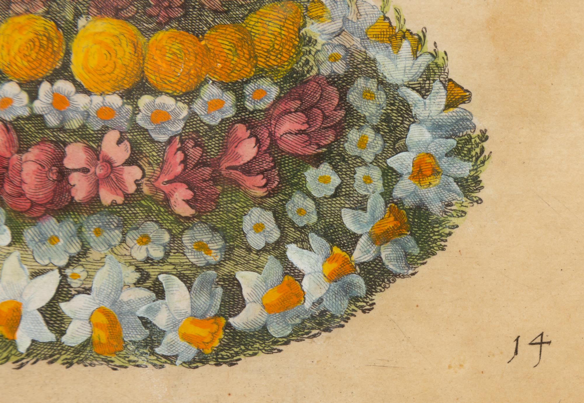 A German Hand-Colored Botanical Engraving