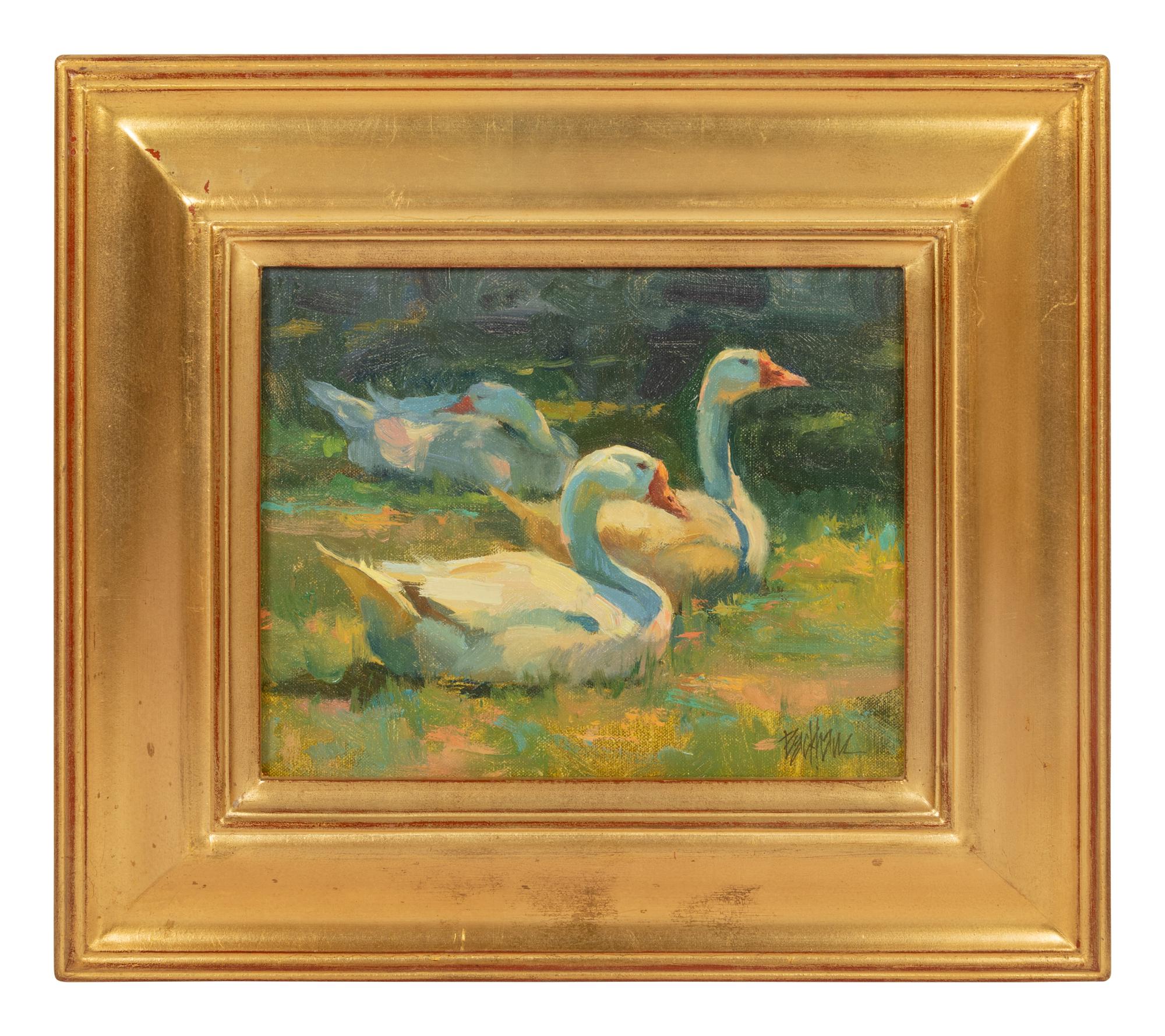 Geese, Sunbathing Along the Anglin River