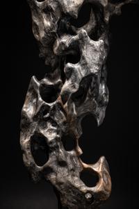 A Chinese Scholar's Rock