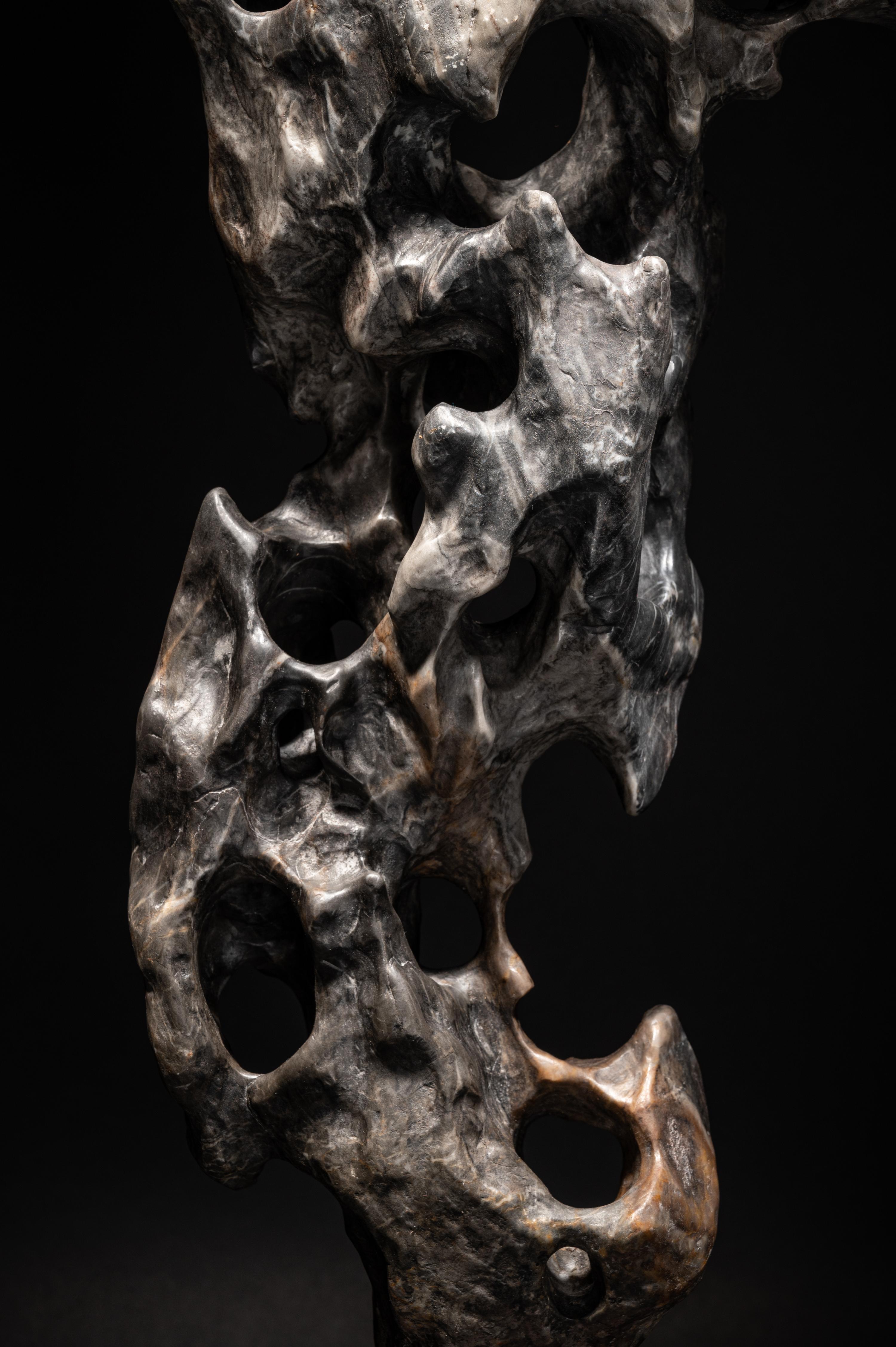 A Chinese Scholar's Rock
