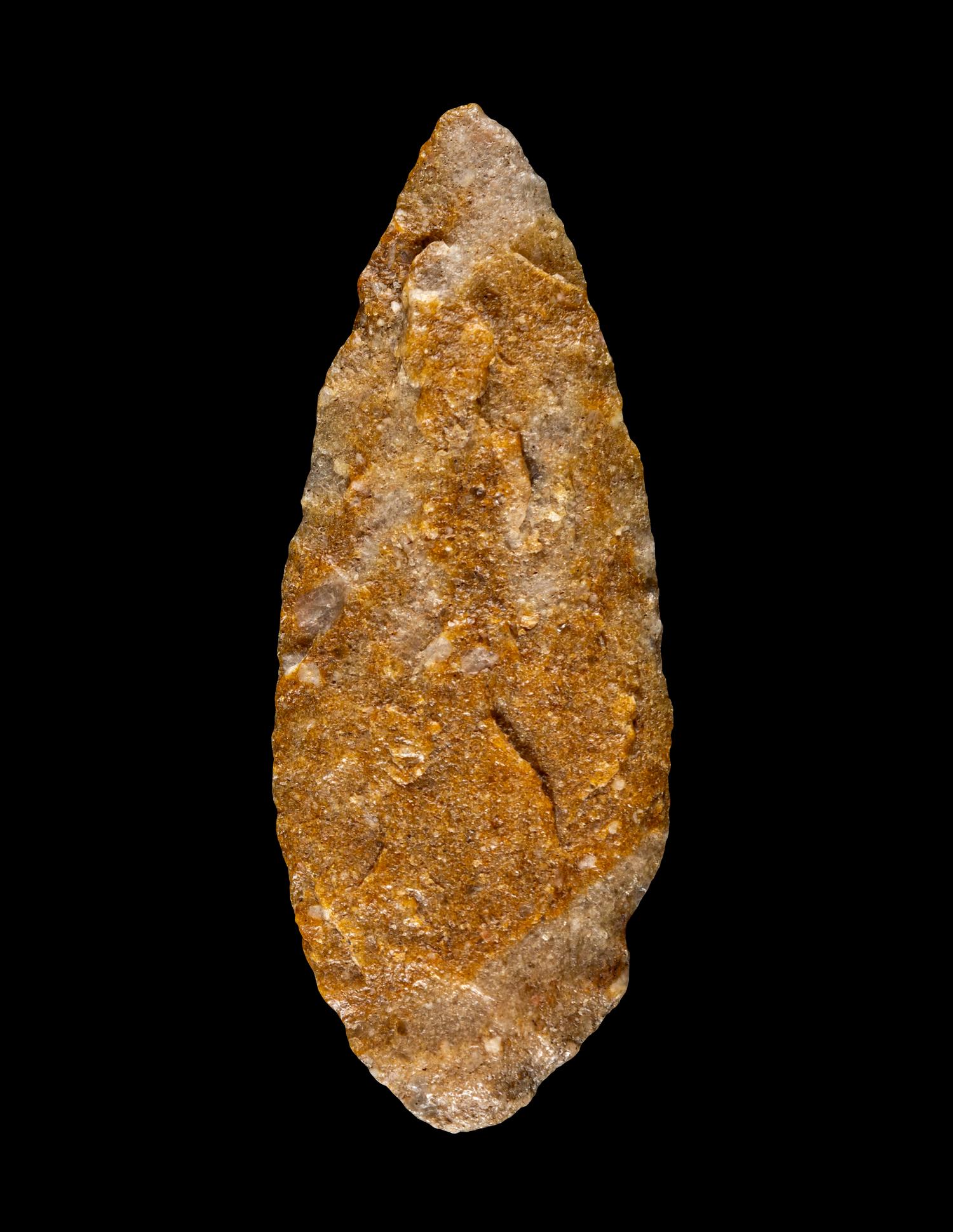 A Paleolithic Chert Spear Point