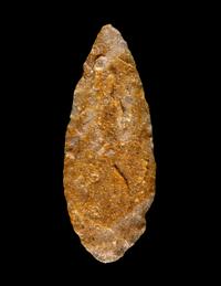 A Paleolithic Chert Spear Point
