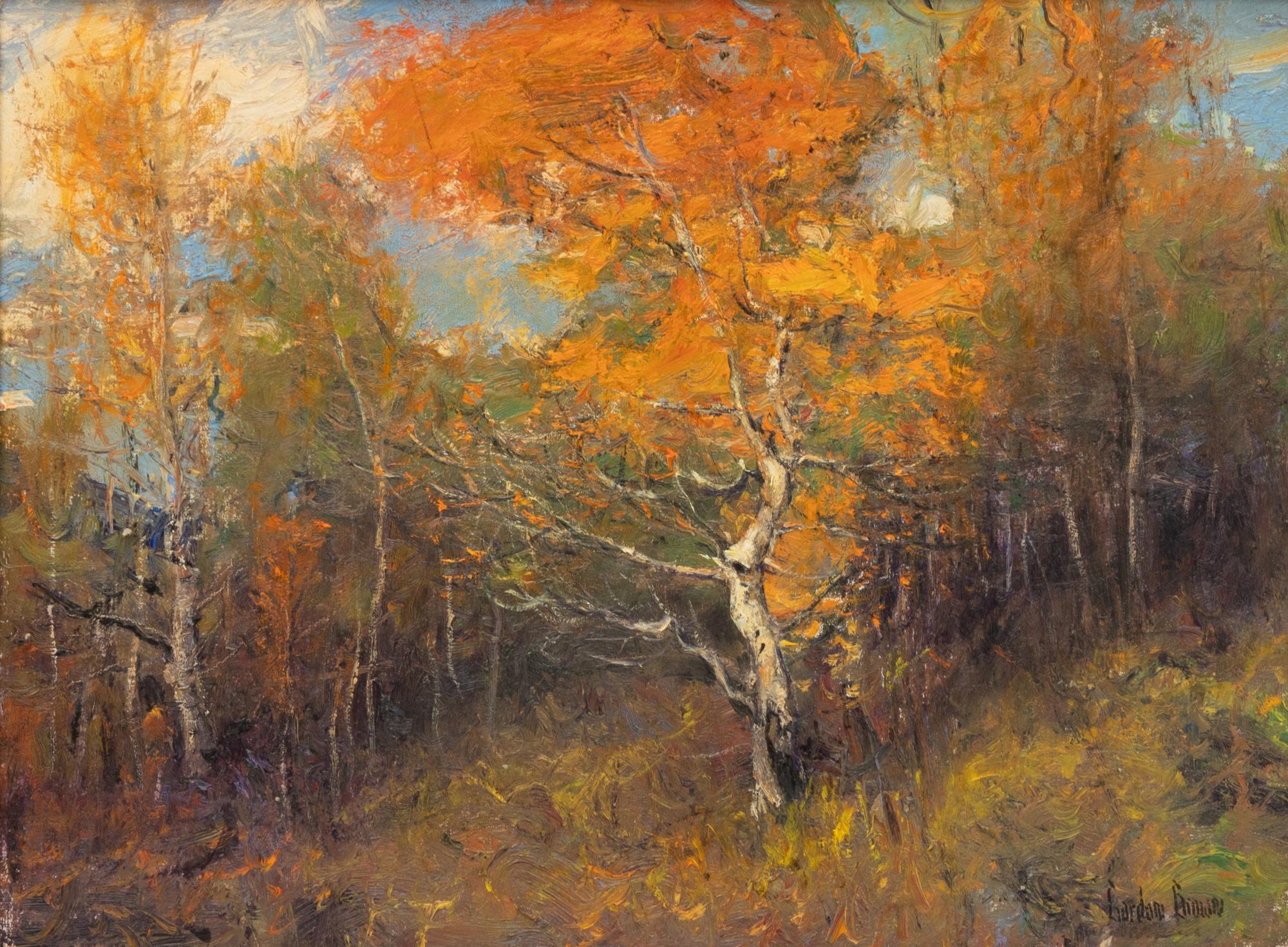 Aspen Trees