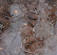 Drops from Stream Series , 1978