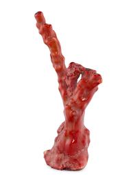 A Red Coral Specimen