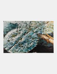 Lily Pads and Leaf