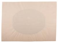 [LINCOLN, Abraham (1809-1865)]. FASSETT, Samuel, photographer. Salted paper print of Abraham Lincoln. [Chicago, IL]: ca 1859.