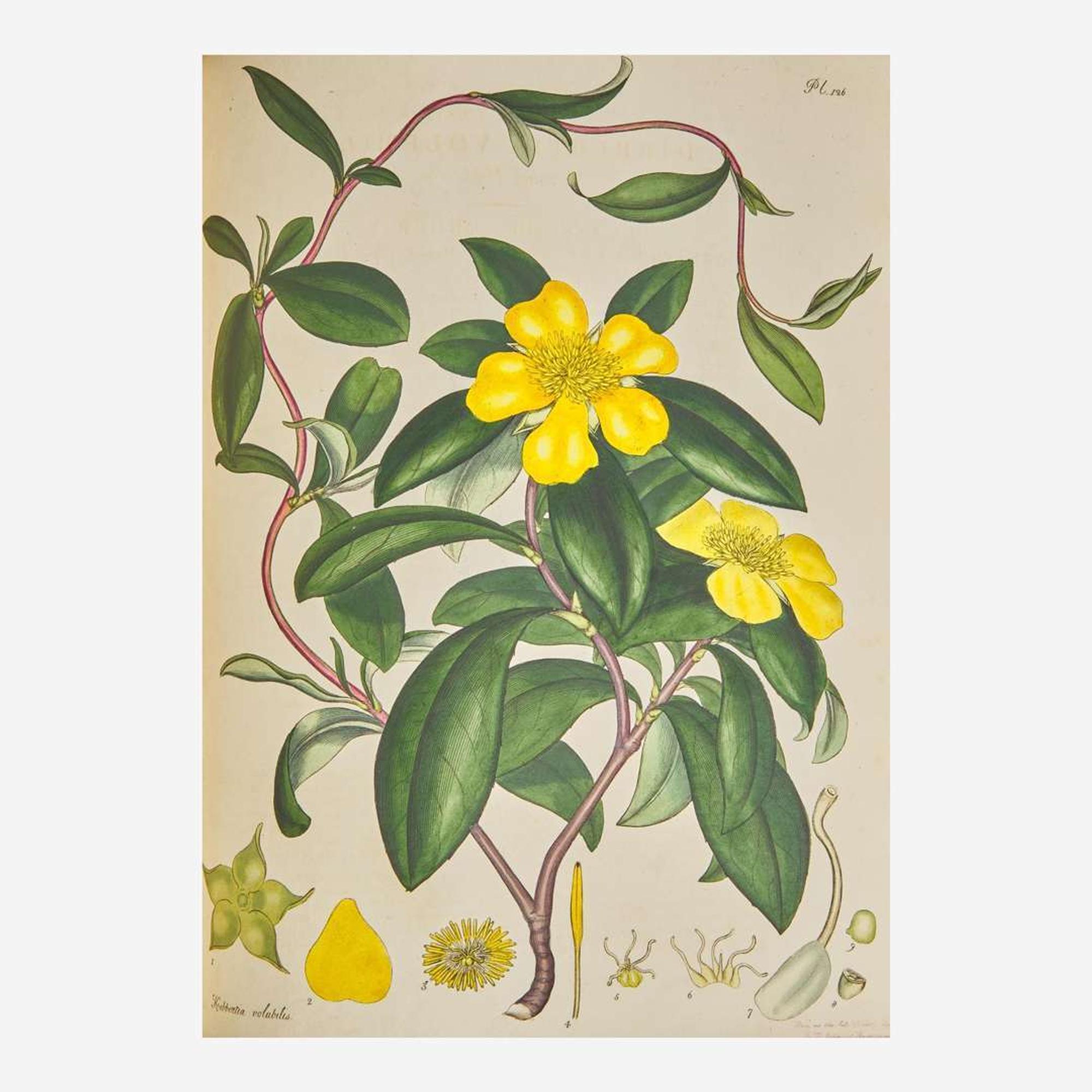 [Natural History] Andrews, Henry The Botanist’s Repository, For New, and Rare Plants. Containing Coloured Figures...