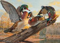 Dark Hollow Woodies , 1999