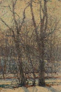 Winter Scene
