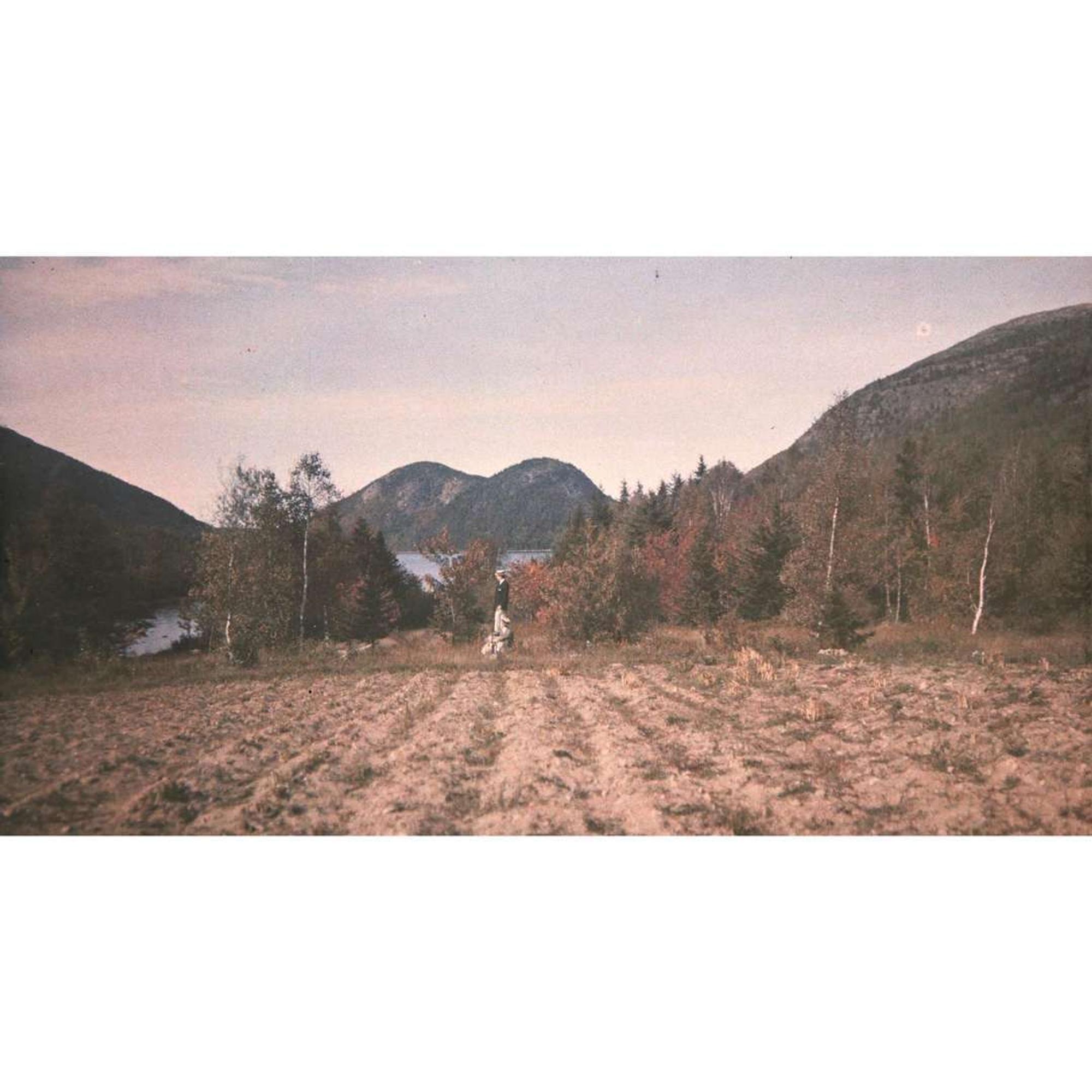 [Gardening] [Farrand, Beatrix] Group of 4 Autochromes
