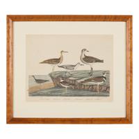 Alexander Lawson (1773-1846) and John G. Warnicke (died 1818), After Alexander Wilson (1766-1813), A Set of Sixteen Hand-Colored Engravings of Various Birds
