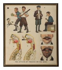 [SCIENCE & MEDICINE] -- [POSTER]. The Effects of Tobacco on the Body . Edinburgh: W. & A.K. Johnston, Limited, n.d. Sold by A.J. Nystrom & Co., Chicago.