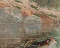 Fly Fishing