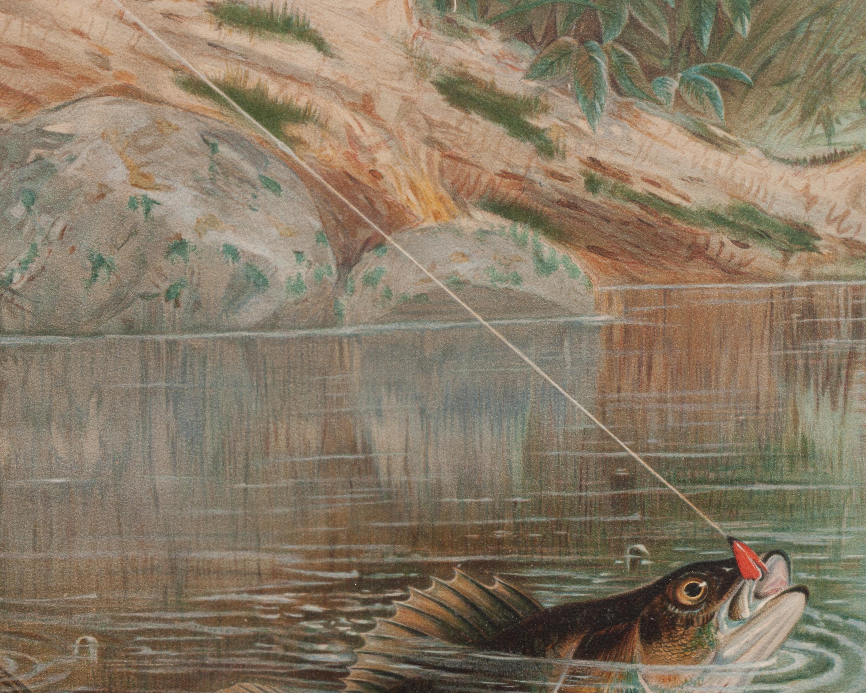 Fly Fishing