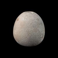 An Egyptian Limestone Mace Head