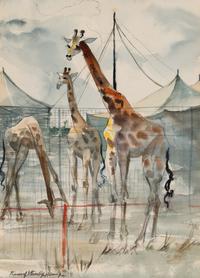 Circus Backlot with Giraffes, Sarasota, Florida