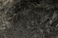 Two Works: Raven Expresses an Opinion and Raven XII , edition 25/35