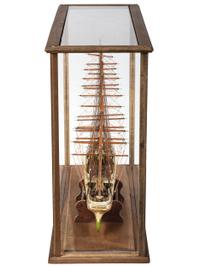 A Painted Wood Cased Scale Model of the Albatross