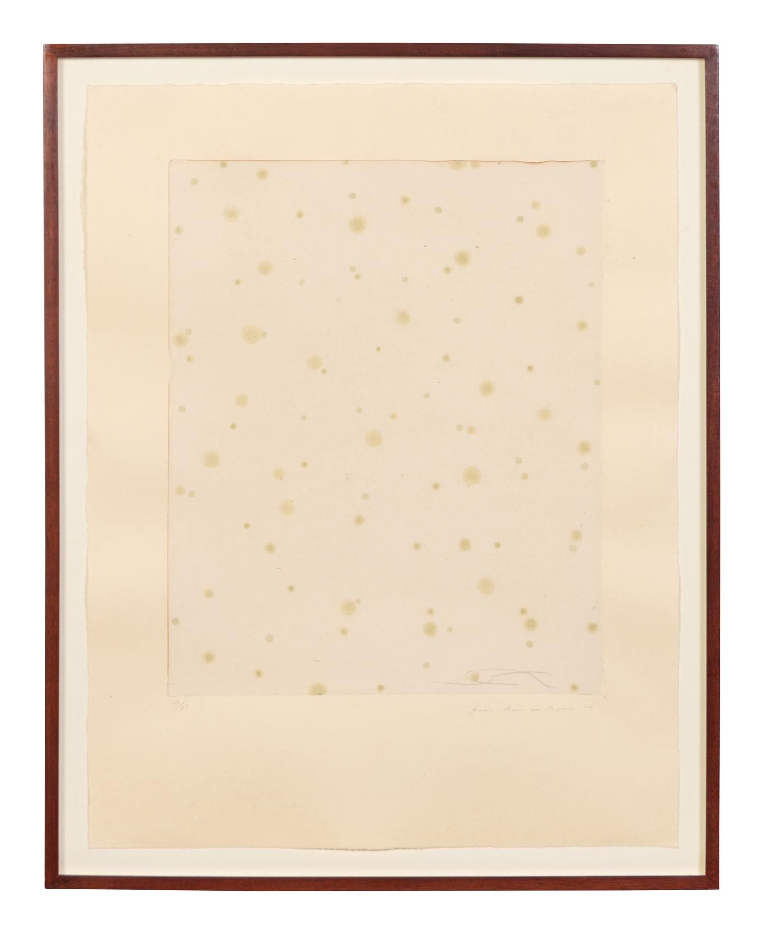 Flowers, Rain, Snow, and Wind - Rain on Paper