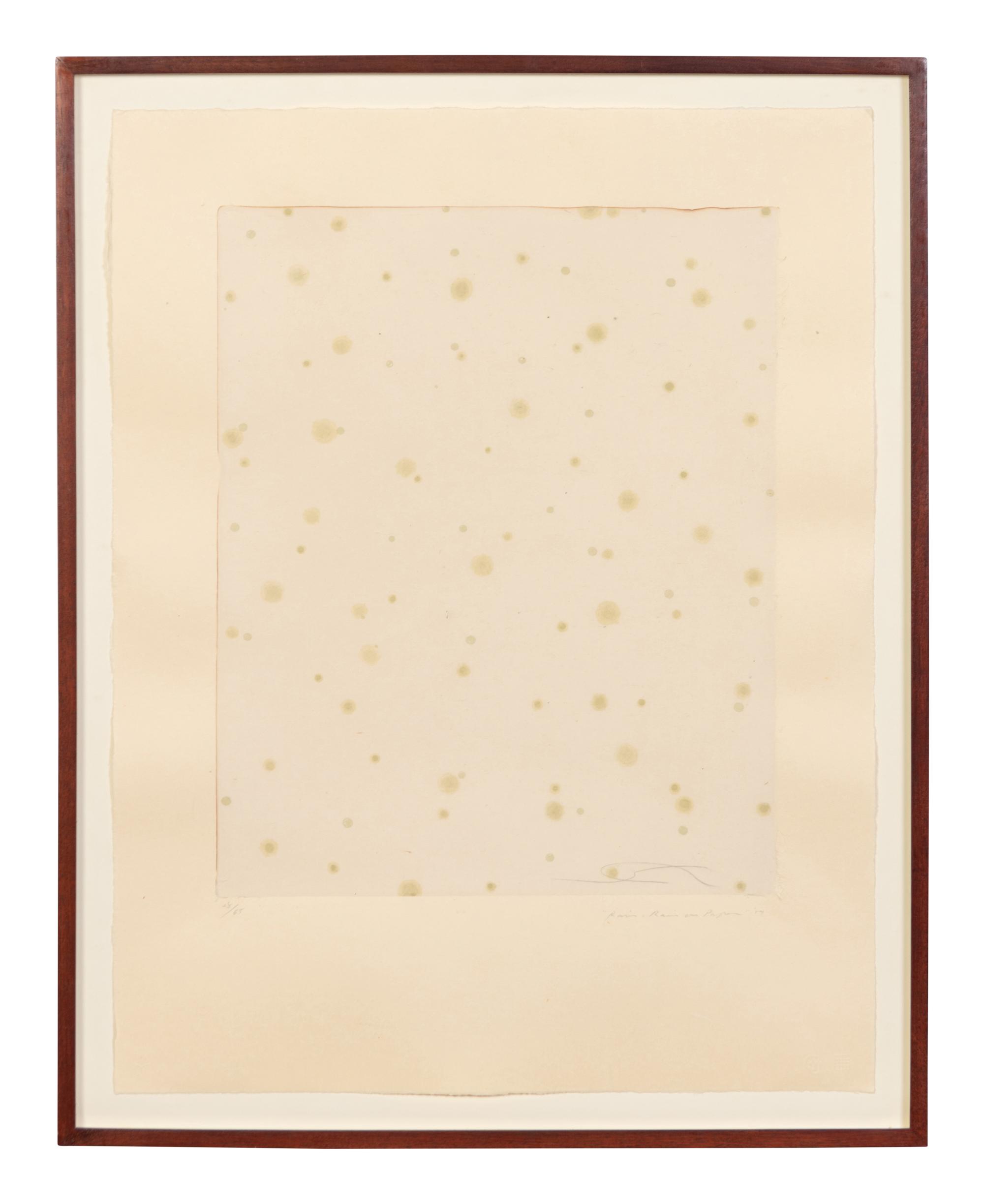 Flowers, Rain, Snow, and Wind - Rain on Paper