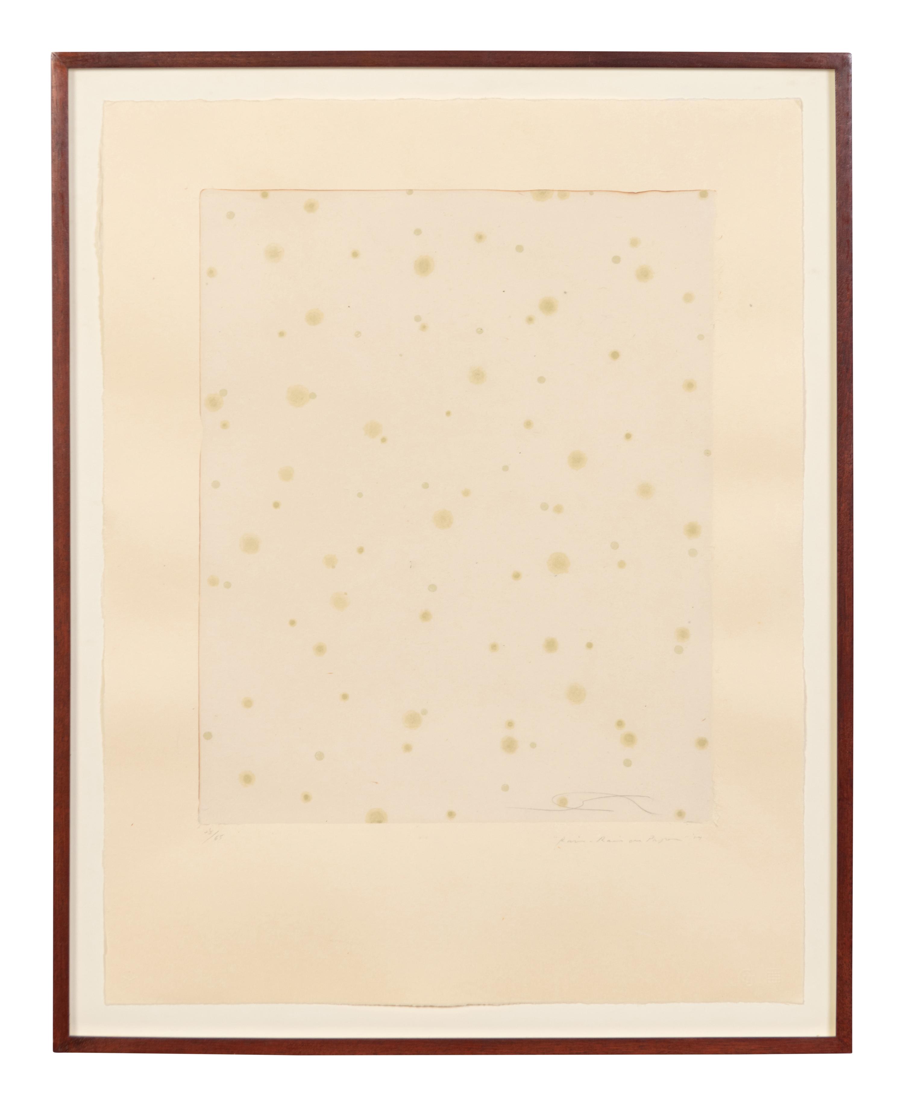 Flowers, Rain, Snow, and Wind - Rain on Paper