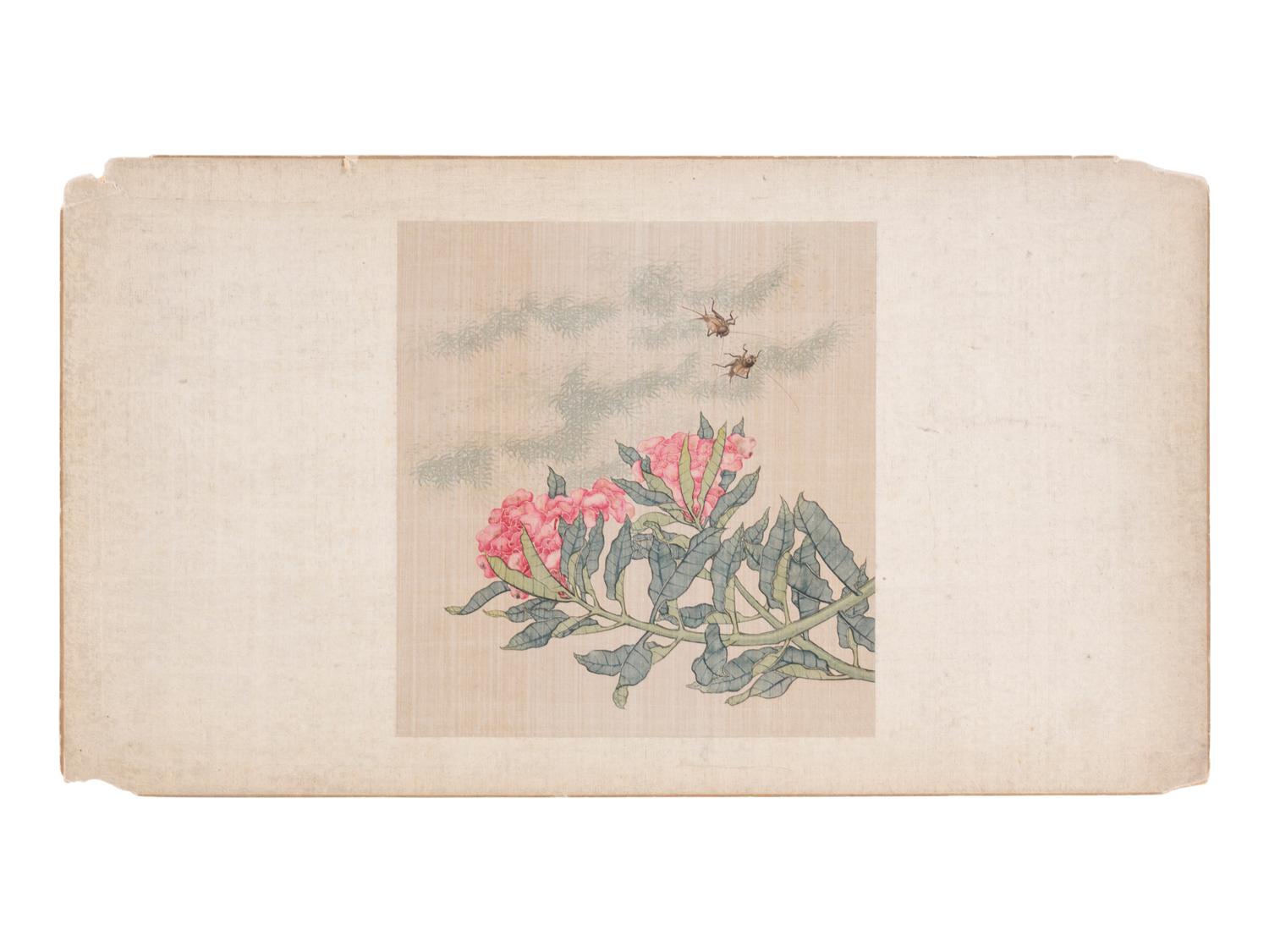 Six Chinese Paintings Depicting Flowers