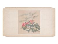 Six Chinese Paintings Depicting Flowers
