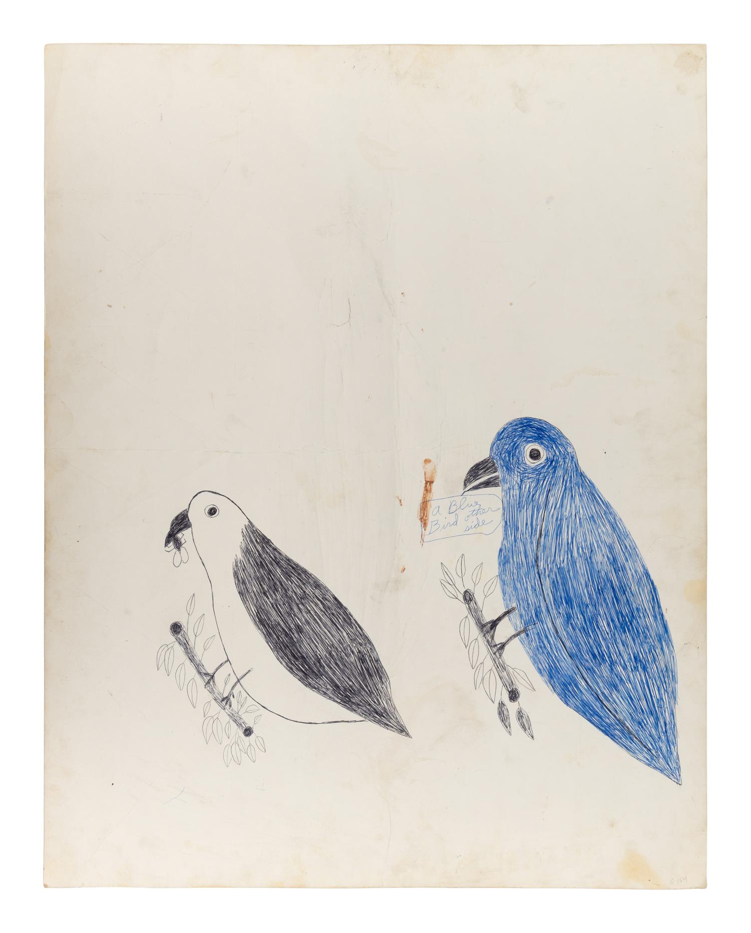 Mr. Blue Bird